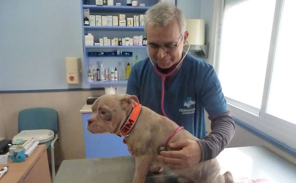 Por qué elegir a Clínica Veterinaria Fuensalida